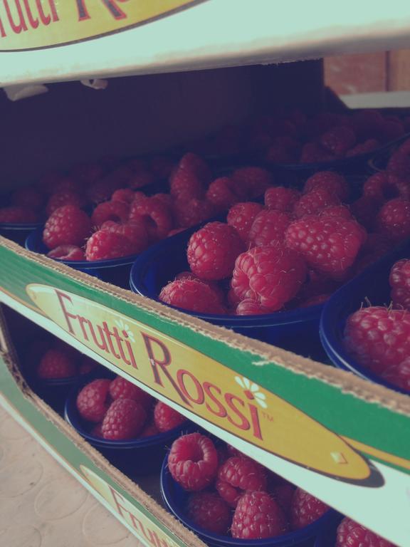 Agriturismo Fruttirossi Trofarello Esterno foto